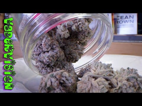 Seed to Harvest In 10 Minutes!